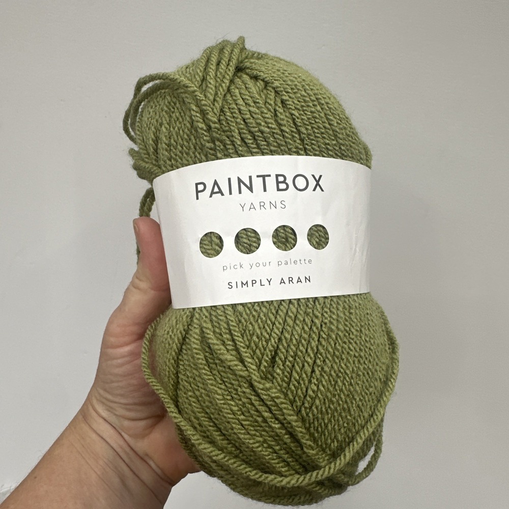 Paintbox Yarns "Green" 1 Skein SA65 Simply Aran Pick Your Pallet Medium 100g 3.5